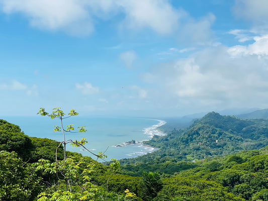 Embracing Jungle Life: Our Move to Costa Rica